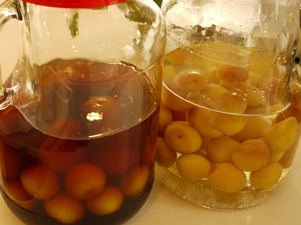 漬け物あれこれ 紅生姜 梅酒 仕込み味噌のその後 ねてもさめても