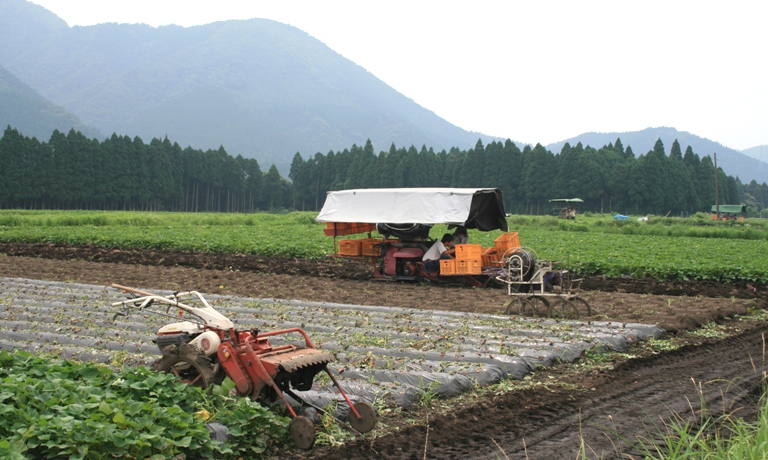 f0042737_16415485.jpg