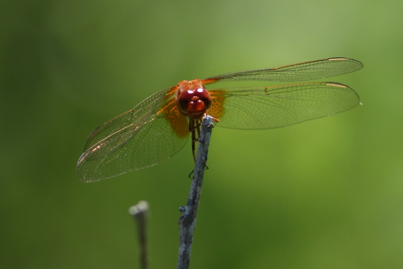 c0172139_23541290.jpg