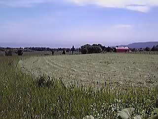 高い所から見る放牧風景_e0145441_214392.jpg