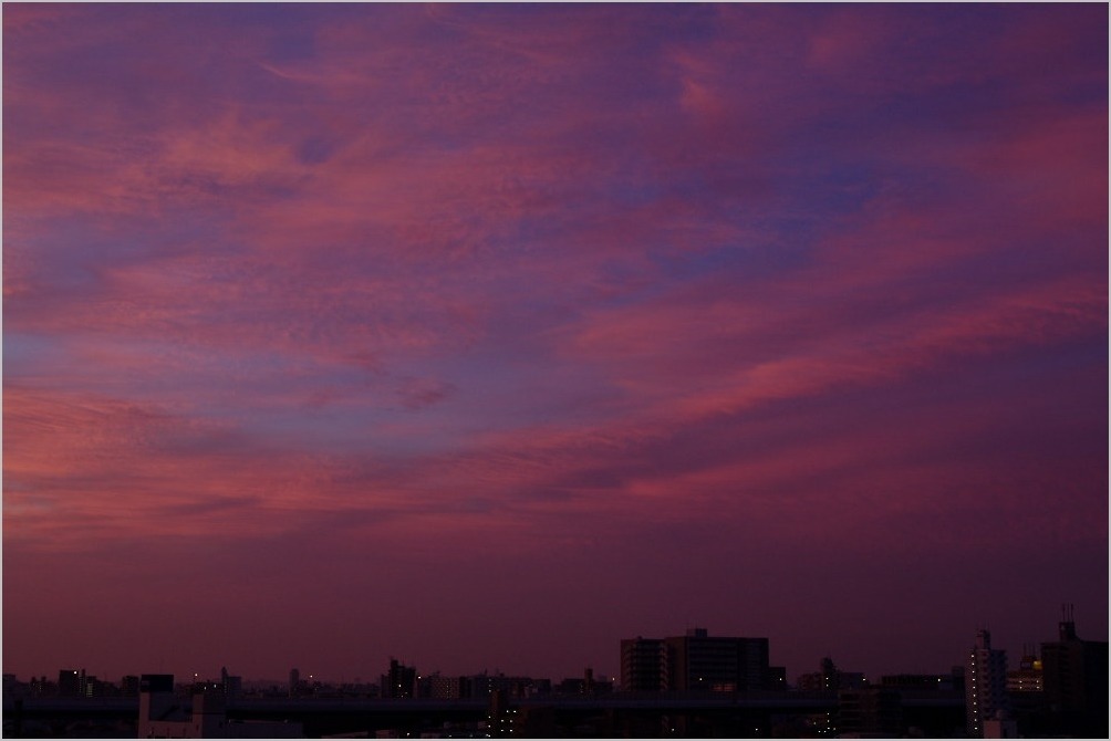 d0058445_22503875.jpg