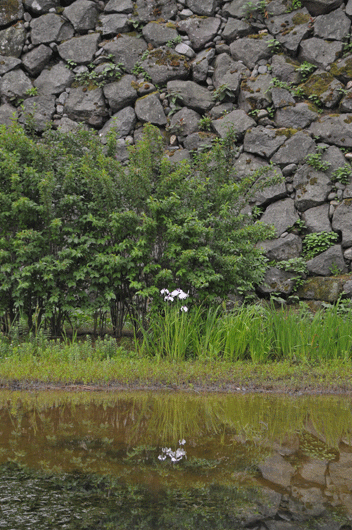 c0093046_629235.gif
