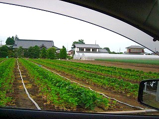 d0131847_21445270.jpg