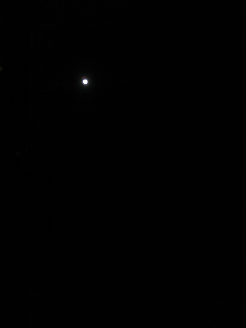 d0155148_2024920.jpg