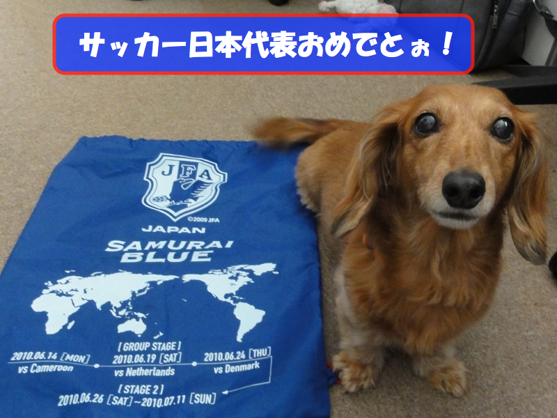 c0121550_1633253.jpg