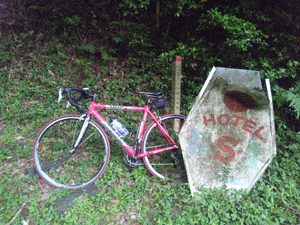 f0229250_6332696.gif