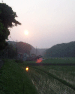 f0229250_6342439.gif