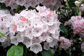 c0016056_2154214.jpg