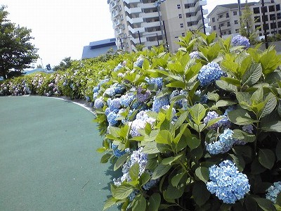 b0181457_2551918.jpg