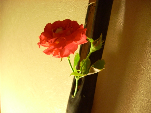 f0156158_21203072.jpg