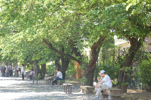 d0172270_1804189.jpg