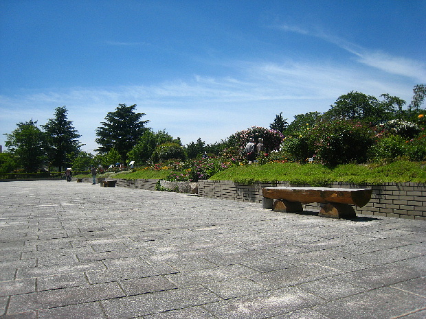 d0172270_18436100.jpg