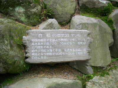 e0143671_12313077.jpg