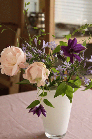 b0139477_0443112.gif