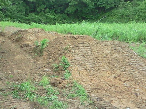 e0055880_1722331.jpg