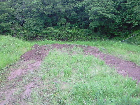 e0055880_17225655.jpg