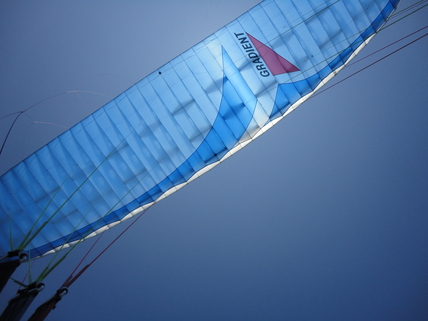 e0024081_71357.jpg