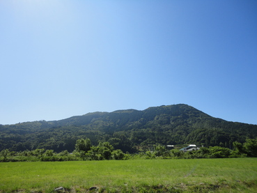 e0024081_79114.jpg