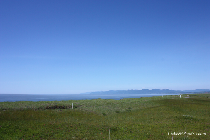 f0001895_20104564.jpg