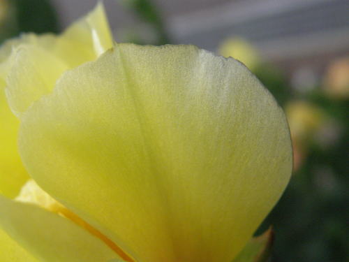 e0017396_20454494.jpg