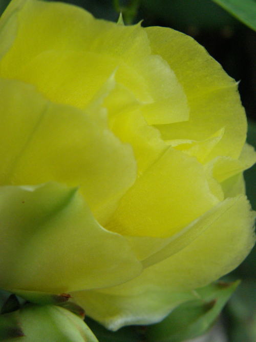 e0017396_2052871.jpg