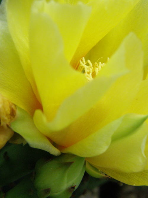 e0017396_20552727.jpg