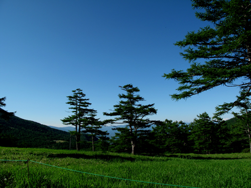 新緑と青空の美しさ_e0120896_6225223.jpg