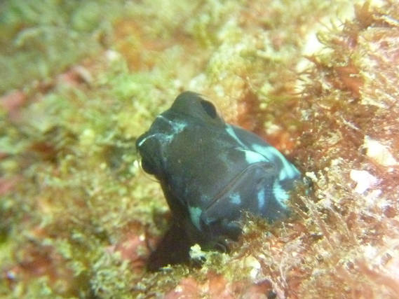 e0115199_1334521.jpg