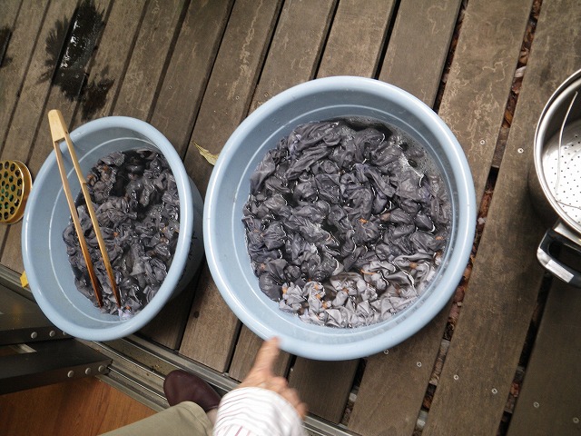 すみれば探検隊「すみればの草木染」_b0049307_22382410.jpg
