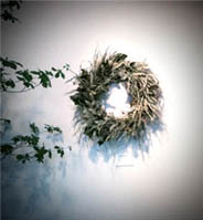 summer wreath展_d0172107_22412441.jpg