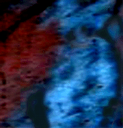 e0103408_13102666.gif