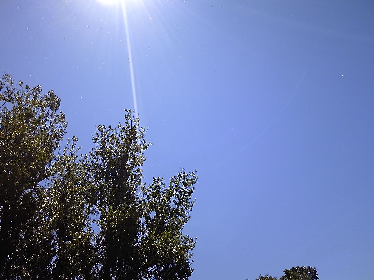 c0154313_83481.jpg