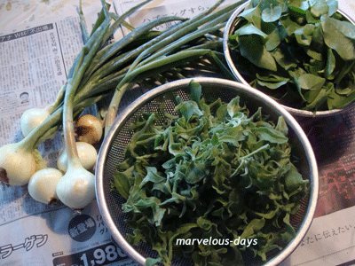 b0176027_9231150.gif