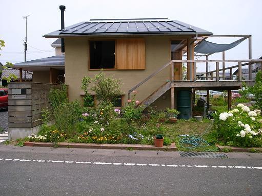 Nさんのいえ(2008) オニグルミのその後 2010/6/26_a0039934_1843308.jpg
