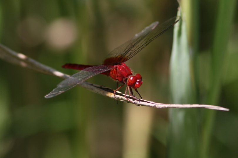c0172139_09450.jpg