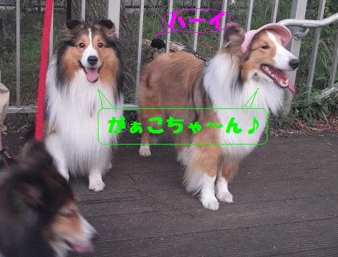 ラムちゃんとアーサーくん♪_e0195743_2515420.jpg