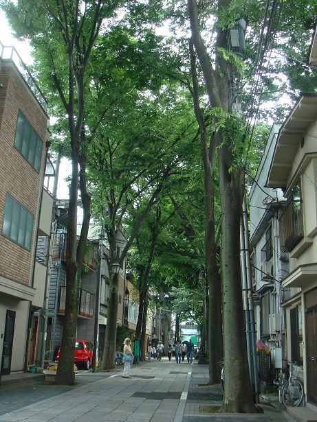 b0147444_16422418.jpg