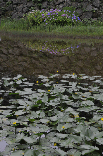 c0093046_6393643.gif