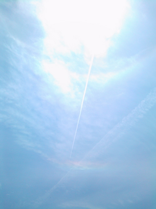 d0155148_2044383.jpg