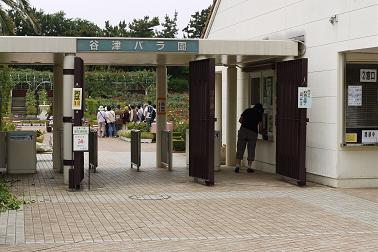 b0186953_1721324.jpg