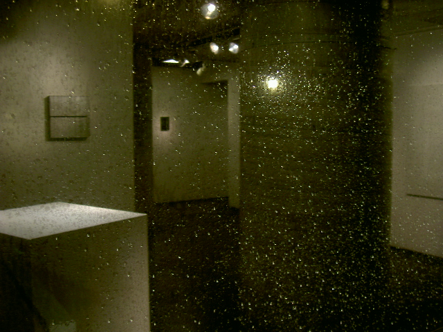 初日は雨_a0071956_19322210.jpg