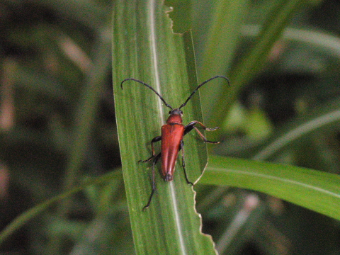 d0176157_01889.jpg
