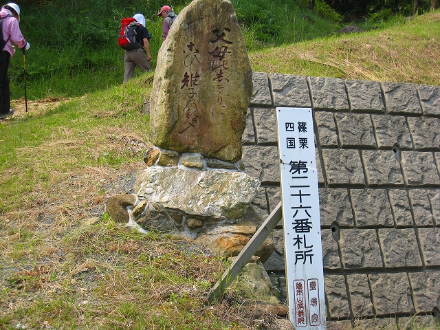 若杉山＆米の山展望台　10　6/24_f0156960_21145099.jpg