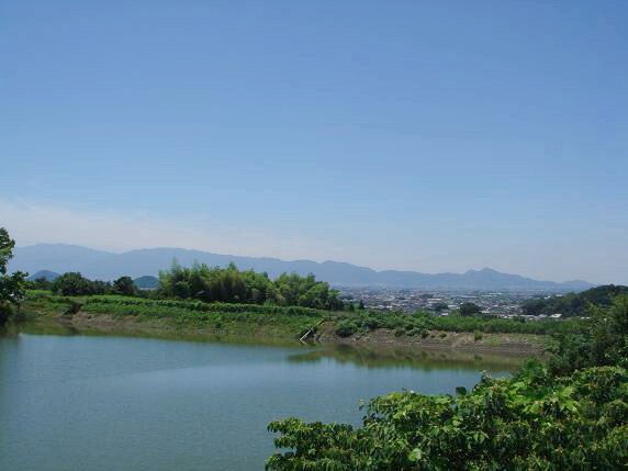 c0148762_646292.jpg