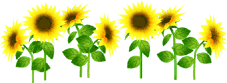 e0129862_164076.gif