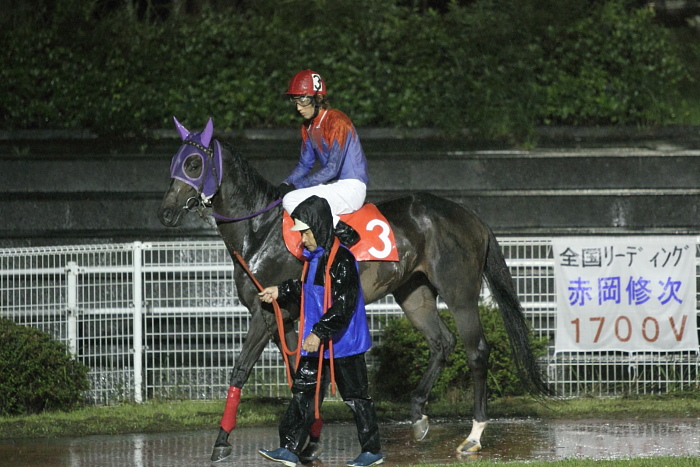 2010年6月26日(土) 高知競馬 9R 龍馬も泳いだ鏡川特別 C1-1 選抜馬_a0077663_2284973.jpg