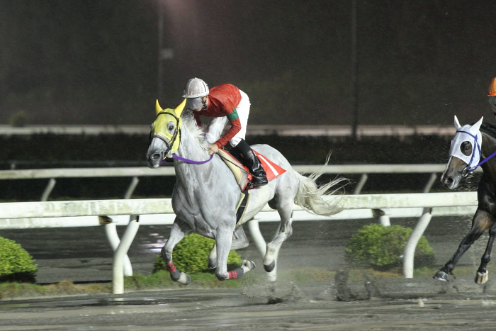 2010年6月26日（土） 高知競馬 9R 龍馬も泳いだ鏡川特別 C1-1 選抜馬_a0077663_2291683.jpg