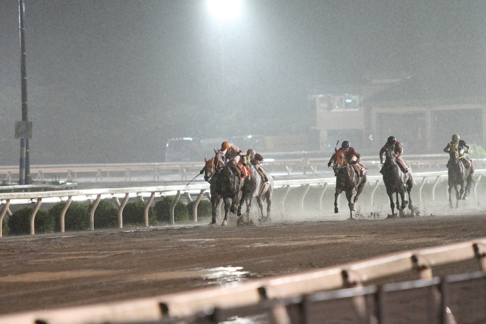 2010年6月26日（土） 高知競馬 9R 龍馬も泳いだ鏡川特別 C1-1 選抜馬_a0077663_2292525.jpg