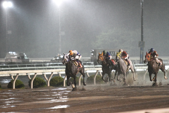 2010年6月26日（土） 高知競馬 9R 龍馬も泳いだ鏡川特別 C1-1 選抜馬_a0077663_2293292.jpg