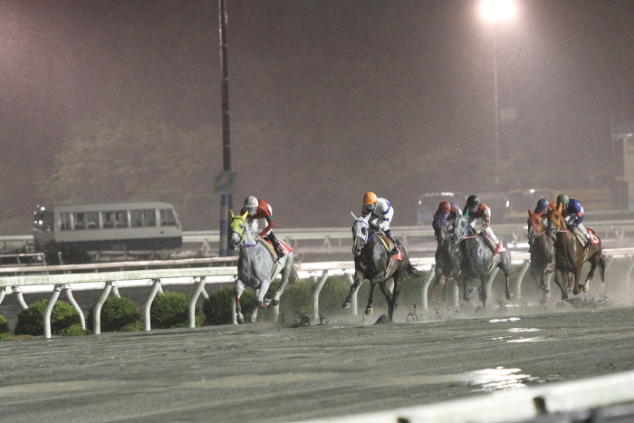 2010年6月26日（土） 高知競馬 9R 龍馬も泳いだ鏡川特別 C1-1 選抜馬_a0077663_229850.jpg